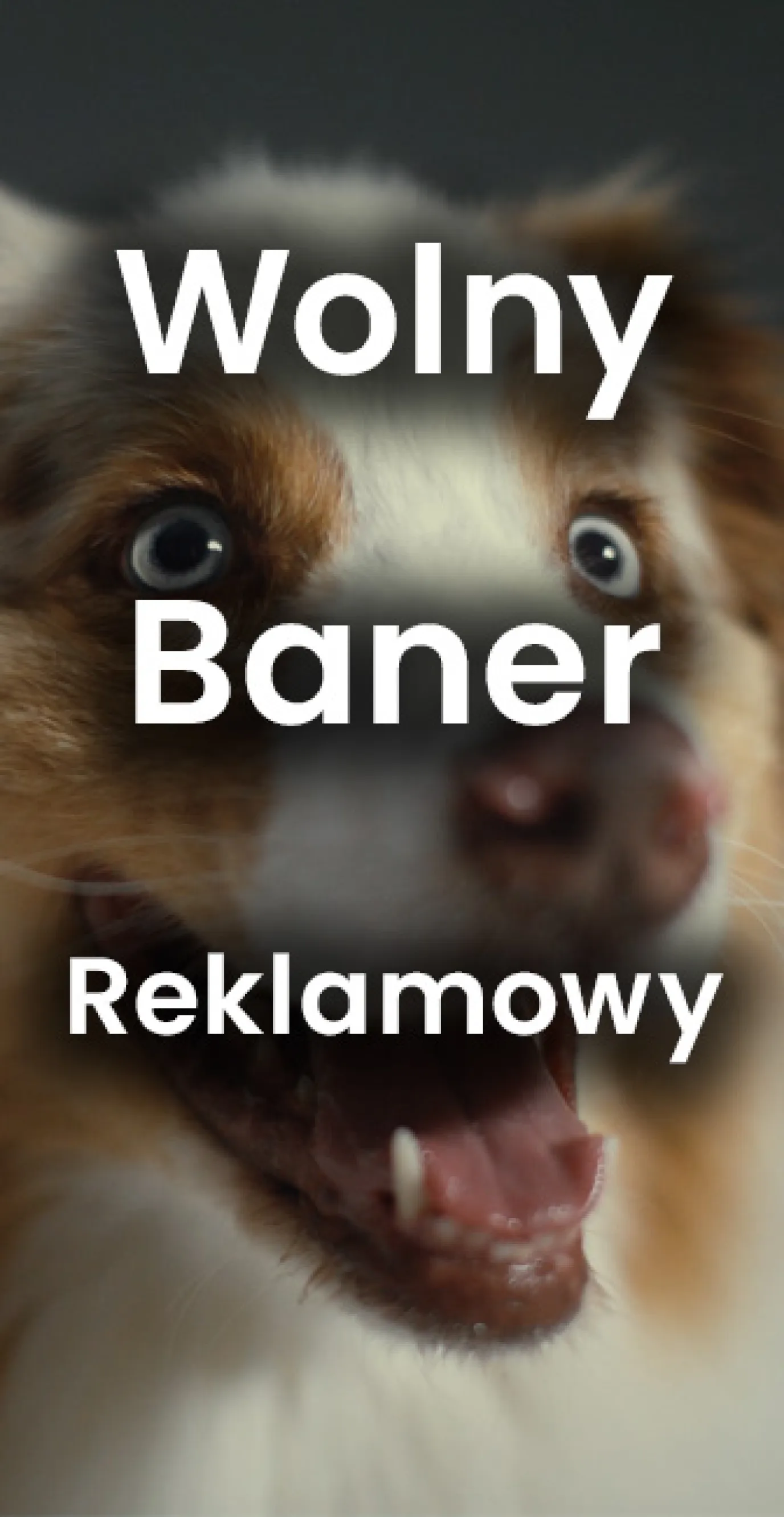 Wolny_reklamowy_pion