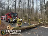Poniedziałek Wielkanocny w cieniu żywiołu. Bilans niszczycielskiego wiatru w regionie.