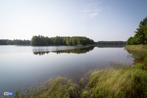 Koń w jeziorze w Kamieniu– czy jest się czego bać?