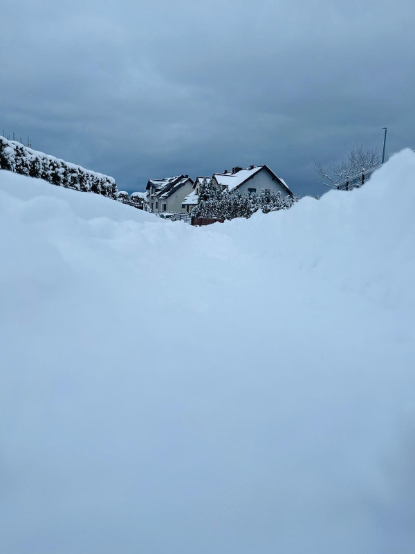 Bojano łączy siły! Akcja społeczna 'Wspólne Odśnieżanie'.