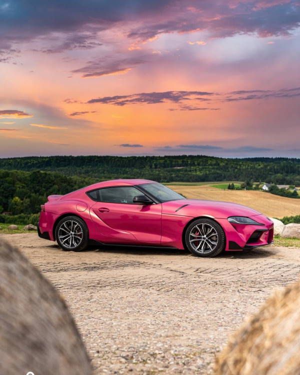 Światowy sukces z Dobrzewina! Kolor 'Kashubian Sunset Pink' podbija Europę.