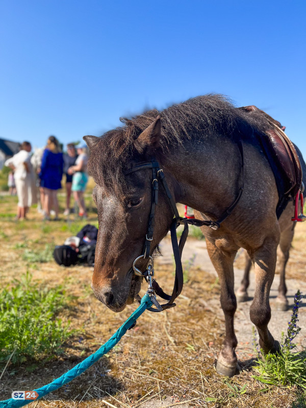 Święto plonów. Festyn Dożynkowy w Bojanie. 