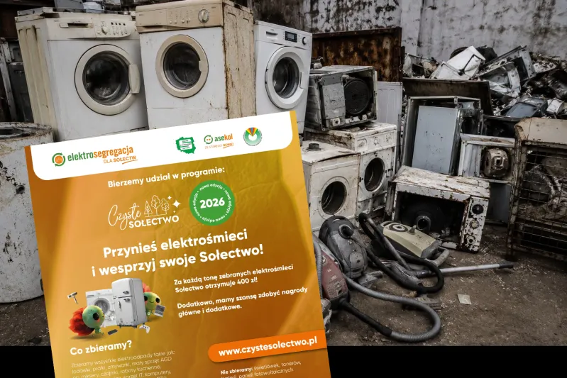 czyste solectwo.png